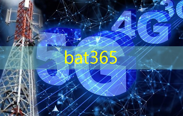 <strong>bat365在线登录网站：智能化跨境电商物流平台</strong>