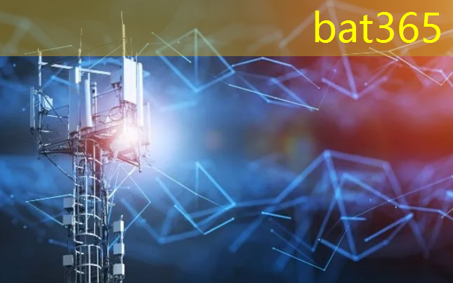 bat365：智慧城市的研究规划包括